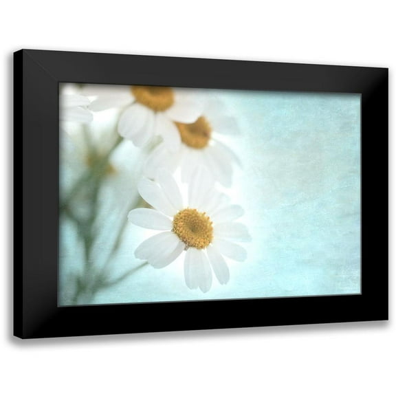 Stalus, Judy 14x12 Black Modern Framed Museum Art Print Titled - Daisy Love I
