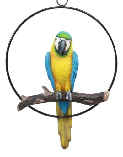 Blue Storage Clearace Sale Macaw Camping Chair