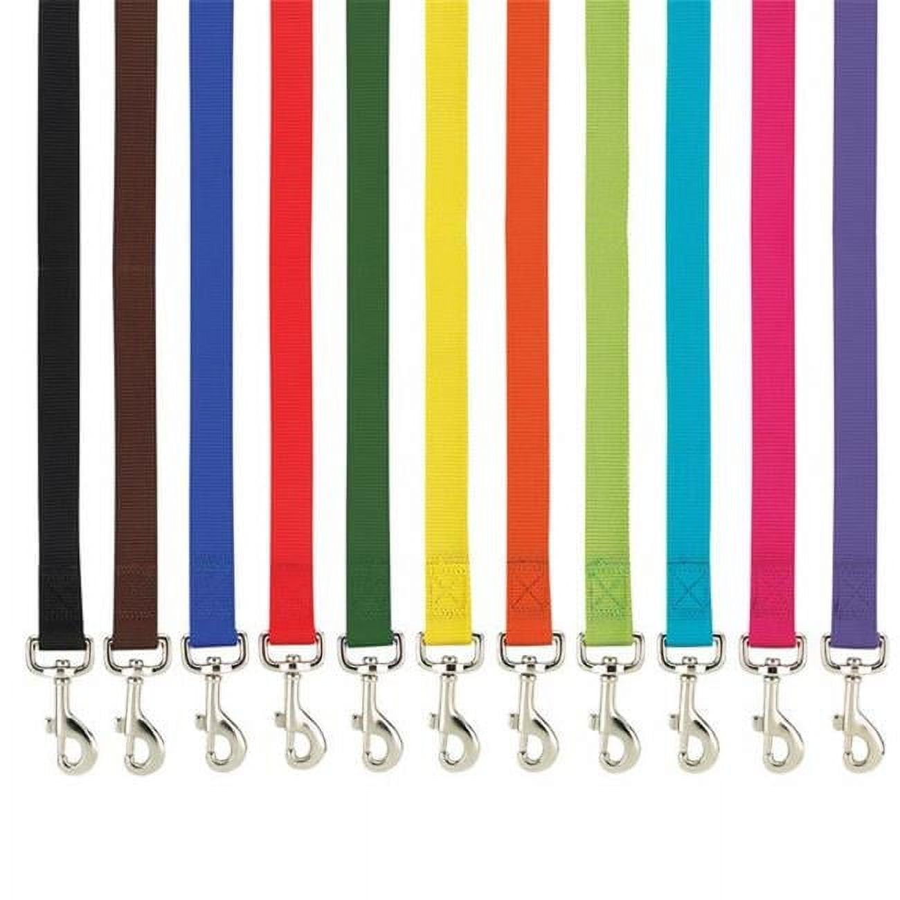 Casual Canine ZM2392 66 31 6 ft. x 1 in. Basic Nylon Dog Leash Lead, Brown