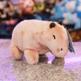 thumbnail image 2 of Capibara Café 20 cm, 2 of 5