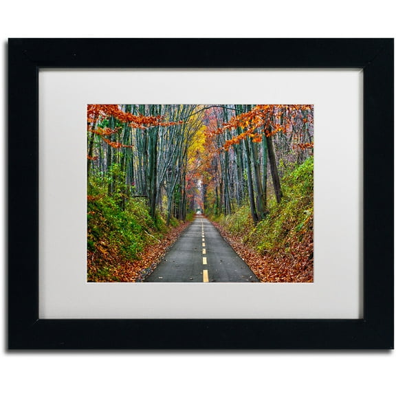 Trademark Fine Art "Paths" Canvas Art by CATeyes, White Matte, Black Frame