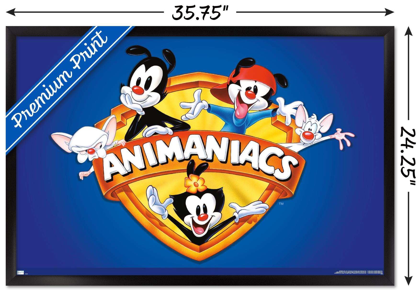 Animaniacs - Shield Wall Poster, 22.375" x 34", Framed