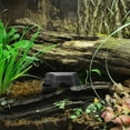 thumbnail image 4 of unbranded 2Ud Cueva De Plástico Para Reptiles Con Y Durabilidad, 4 of 6