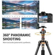 K&F CONCEPT Carbon Fiber Travel Tripod for DSLR Camera, Monopod, 360° Ball Head, 17.6lbs Load Capacity