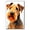 Airedale Terrier, variant on Cane Corso Dog Art Canvas, Pet Wall, Polygon Art Print on Canvas Canvas, large wall art, bathroom wall art, Ready to Hang,Living Room,Bedroom ＆ Office