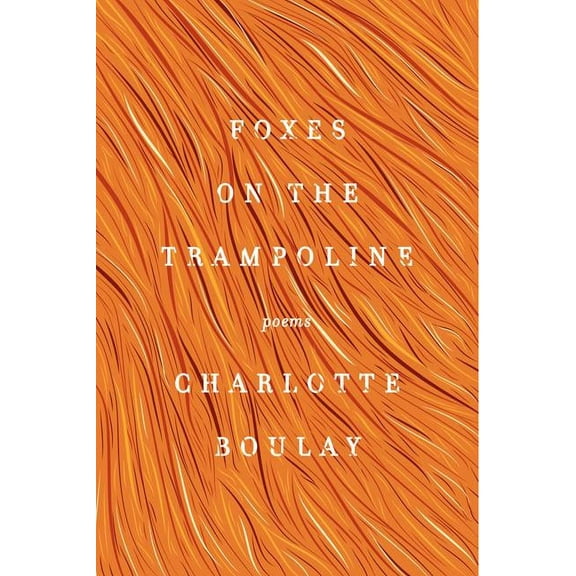 Foxes on the Trampoline, (Paperback)