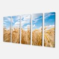thumbnail image 2 of Barley Field under Blue Sky - Landscape Canvas Art Print, 2 of 3