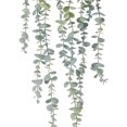 thumbnail image 2 of 1 Uds. Planta colgante de eucalipto en maceta falsa para decoración del hogar de la habitación de la pared Afortunado Sencillez, 2 of 5