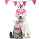 thumbnail image 3 of Sombrero ajustable de tela para mascotas, gatos, perros, cumpleaños, juguete interactivo, disfraz para sombreros de fiesta (rosa), 3 of 8