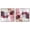 Silver Frame, variant on Art Remedy Saturaded Colors Art Canvas, 12" x 12", Gallery Wrapped, Ruby Patterns in White Set