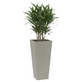 thumbnail image 1 of Maceta Cuadrada Alta Elly Decor 28 x 61 cm Color Gris Cemento, 1 of 6