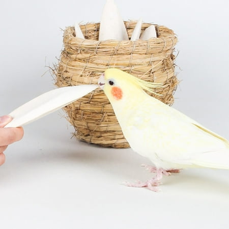 Cuttlefish Bone Bird Cuttlebone for Parakeets Cuttlebone for Birds - 100% Natural Cuttlefish Bone Bulk Chew Toy Bird Bites Calcium Stone 8Pcs