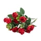 thumbnail image 1 of Cateissary Plantas artificiales para interior y exterior Naturaleza para el hogar Flores artificiales para decoración versátil Decoración Rojo, 1 of 6