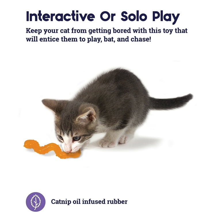 Catnip Wiggle Worm Cat Toy