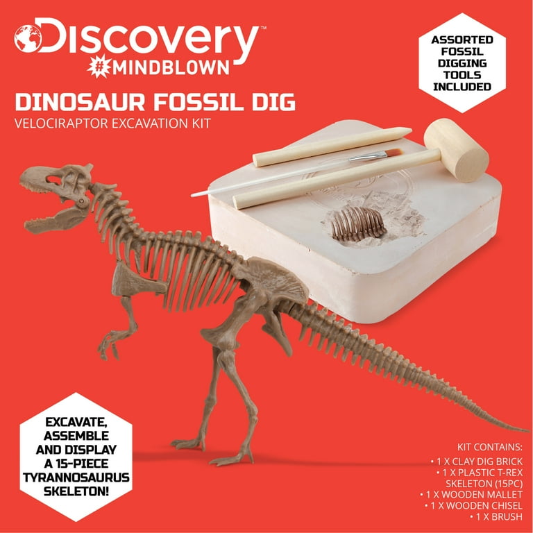 Dinosaur dig sales kit science squad