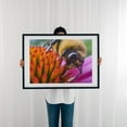 thumbnail image 3 of Bumble Bee on Coneflower - Photography Insect Nature Floral Wildlife Black Framed Wall Art Print 12 x 16 inches, 3 of 7