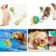 thumbnail image 2 of Juguetes para masticar perros para masticadores agresivos, divertido rompecabezas interactivo para cachorros con cuerda para morder, 4 en 1 Molar Squeaky Bouncing Treat Ball Toy para perros pequeños, medianos y grandes MFZFUKR WMZL-1033, 2 of 7