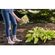 thumbnail image 4 of Insecticida Ortho Bug-Geta Snail & Slug Killer2, 4 of 7