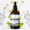 Secrets Of The Tribe Feverfew Organic Tincture Dietary Supplement, Natural Herbal Extract for Nervous Support, Certified Organic Feverfew (Tanacetum parthenium) Dried Herb, Alcohol-Free Extract, 4 oz