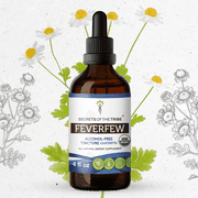 Secrets Of The Tribe Feverfew Organic Tincture Dietary Supplement, Natural Herbal Extract for Nervous Support, Certified Organic Feverfew (Tanacetum parthenium) Dried Herb, Alcohol-Free Extract, 4 oz