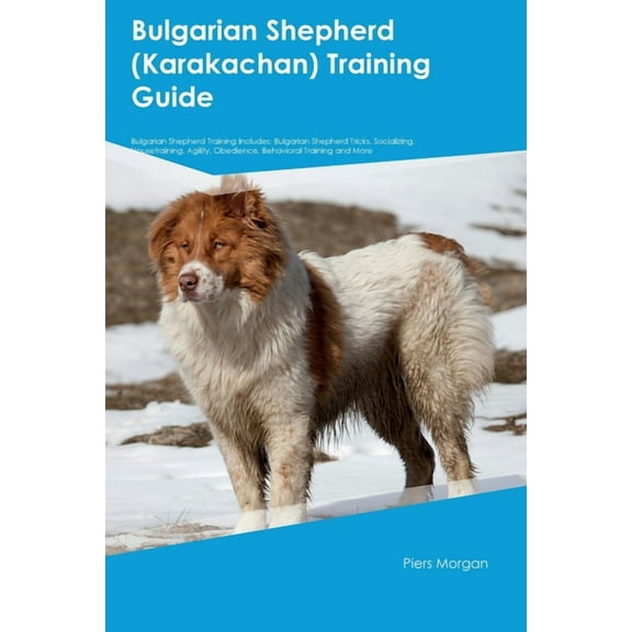 Bulgarian Shepherd (Karakachan) Training Guide Bulgarian Shepherd Training Includes: Bulgarian Shepherd Tricks, Socializ, (Paperback)