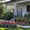 Red 4pc, variant on Plastic Garden Edge Border Fence Tulip Design,Interlocking Landscape Edging Walkways Flower Beds Tree Rings,Flexible No-Dig Polypropylene Outdoor Use,Yard Ornamental Decorative Fences 4pc Set