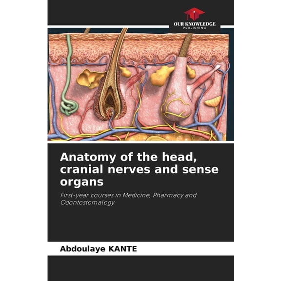 Anatomy of the head, cranial nerves and sense organs, (Paperback)