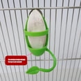 thumbnail image 3 of Alimentador De Pájaros De Hueso, Juguete Para Pájaros, Contenedor De Comida Colgante, Jaula, Accesorios, Suministros Para Pájaros Y Mascotas Minnieouse PT002639-02, 3 of 6