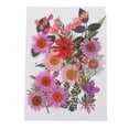 thumbnail image 4 of Hojas Prensas Flores Secas Zulema 25x Mixtas Cubierta de Teléfono DIY, 4 of 8