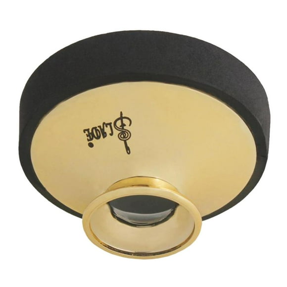 Saxofón, saxofón alto, instrumento de viento madera, compacto, ligero, disponible Dorado