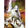 thumbnail image 1 of Cuadros Decorativos 5D diamante pintura DIY caballo completo redondo taladro mosaico JShteea Nuevos Originales, 1 of 5