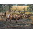 thumbnail image 3 of Mock, Carolyn 18x15 Black Modern Framed Museum Art Print Titled - His Majesty, 3 of 5