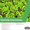 thumbnail image 2 of Harris Seeds - Lettuce Seeds Buttercrunch Variety Tender Leaves - 1 Lb., 2 of 7