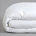 thumbnail image 2 of Becky Cameron Super Plush Down Alternative Comforter, 2 of 3