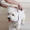 thumbnail image 6 of KMWGRE Halloween Pet Bandana Jack Skellington Triangle Scarf Soft Fabric Accessory for Dogs and Cats Light Gray1 67X17.5cm, 6 of 8