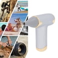 thumbnail image 1 of 60W Electric Hair Dryer Bladeless Handheld Dust Blower With High Speed Wind, 4 Levels, 1100mAh Battery For Cats, Dogs And Pets Drying, 1 of 8
