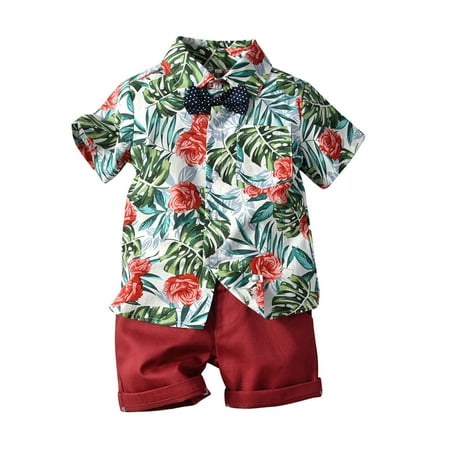 

GWAABD Baby Boy Clothing Set Toddler Kids Baby Boys Floral Short Sleeve Button Down Shirt Casual Shorts Pants Set Summer Beach Outfits Clothes