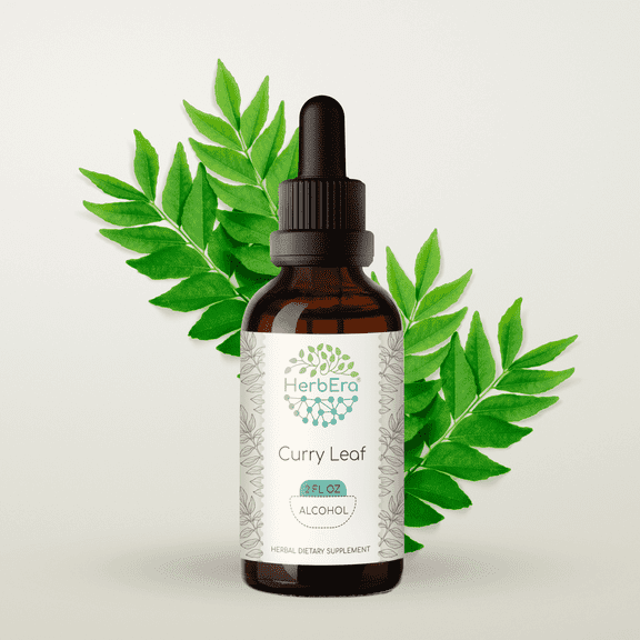 HerbEra Curry Leaf Tincture, Herbal Dietary Supplement for Digestive Support, Curry Leaf (Murraya koenigii) Dried Leaf Extract, Natural, Alcohol Tincture, Drops 2 oz