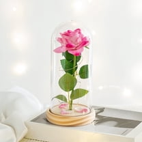Valentines Day Gifts For Girlfriend & Wife, Girlfriend Presents,Cool Gifts To Get Your Girlfriend,Forever Preserved Rose Night Light in Glass / Dome,Valentine's Day Decor