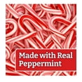 thumbnail image 4 of Candy Cane Peppermint Flavored | Red & White Stripes Individually Wrapped | Creative Idea Booklet (10 Boxes (12ct) 120 Total), 4 of 9