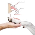 thumbnail image 3 of Wolfi Cortauñas y lima para el cuidado de tu mascota Wolfi https://m.media-amazon.com/images/I/61+6UtDx5vL.jpg, 3 of 5