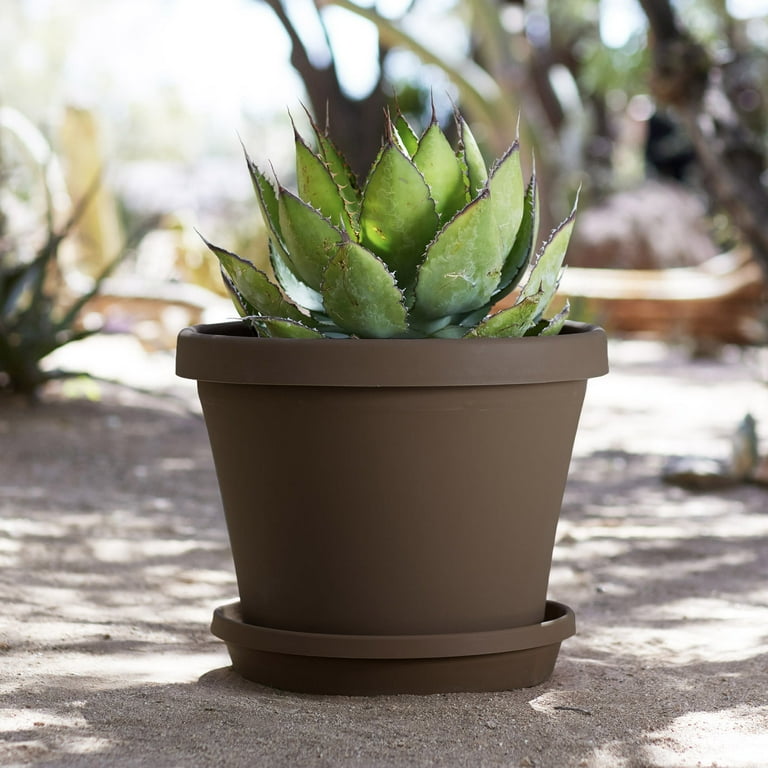 Bloem Terra Pot Planter 8 Bloem Terra Pot Planter 8