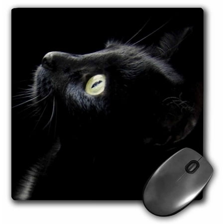 3dRose black cat face, Mouse Pad, 8 by 8 inches