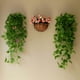 thumbnail image 4 of Planta verde artificial para colgar en la pared, flor falsa decorativa, hojas falsas de plástico de ratán, hojas decorativas para el techo, 4 of 5