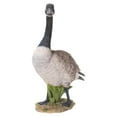 thumbnail image 2 of Hi-Line Gifts 19.75" Standing Canada Goose Outdoor Garden Statue, 2 of 4