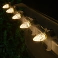 thumbnail image 3 of Opticore Warm White C7 LED Christmas Lights, C7 Christmas Lights with Shatterproof Christmas Bulbs, 50 Lights, 50’, 3 of 7
