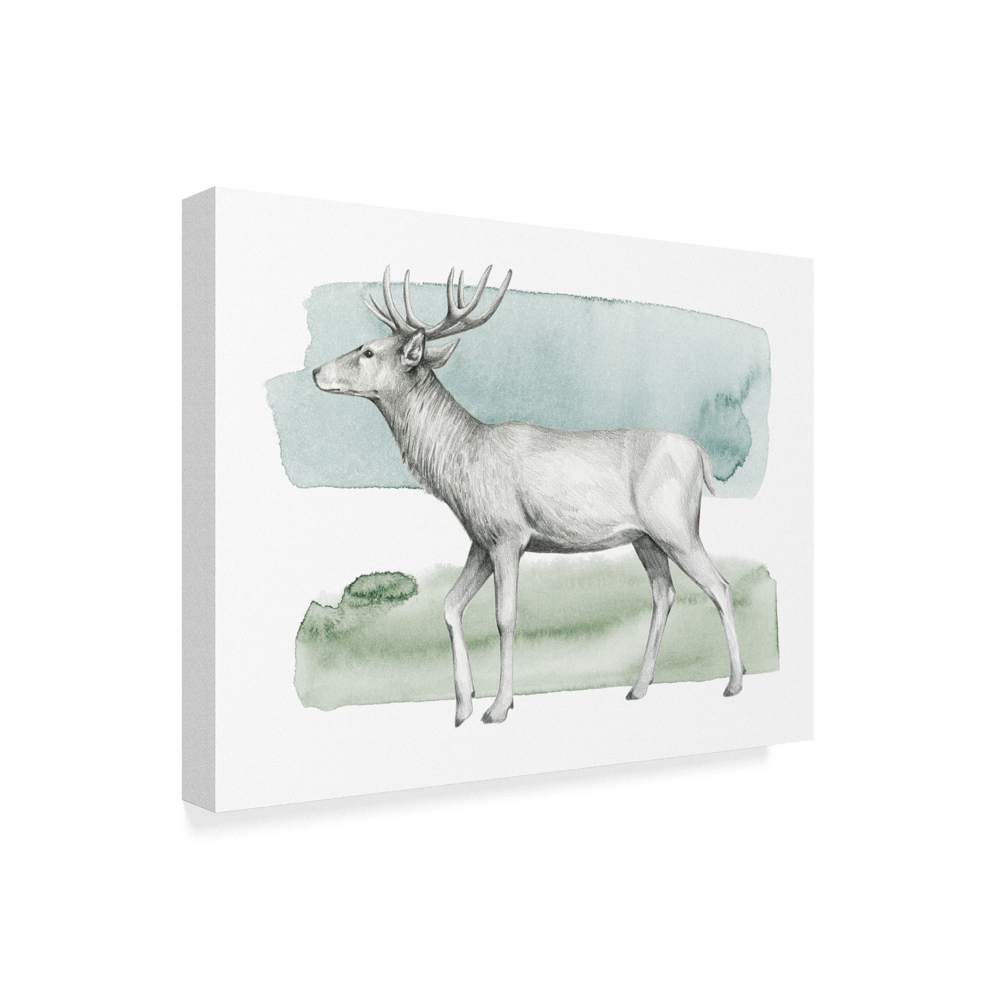 Trademark Fine Art 'Animal IV' Canvas Art by Grace Popp