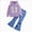 A228-Purple, variant on Toddler Baby Girl Fall Winter Clothes Outfits Hooded Long Sweatshirt Pants Set Purple 3-4 Years
