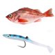 thumbnail image 3 of Juego de Señuelos de Pesca Toystoory 6 piezas Cebo de simulación profesional Azul leopardo, 3 of 6
