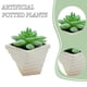 thumbnail image 4 of 2 uds simulación de plantas suculentas en macetas, pequeños adornos creativos para interiores, flores artificiales y plantas verdes, 4 of 5